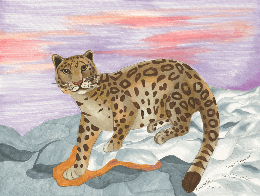 nft-banner-cm#015,snow leopard,02/06/2022